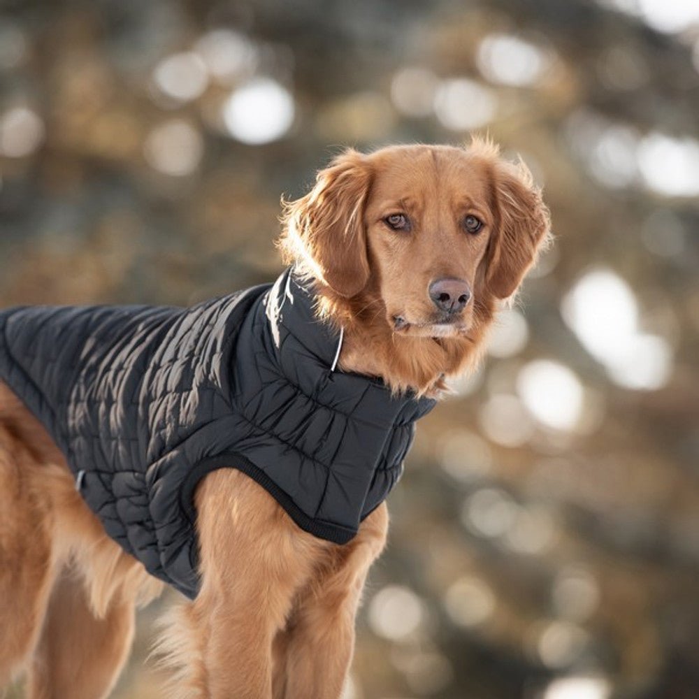 Reversible Elasto - Fit Chalet Dog Jacket (Black) - Wuffies