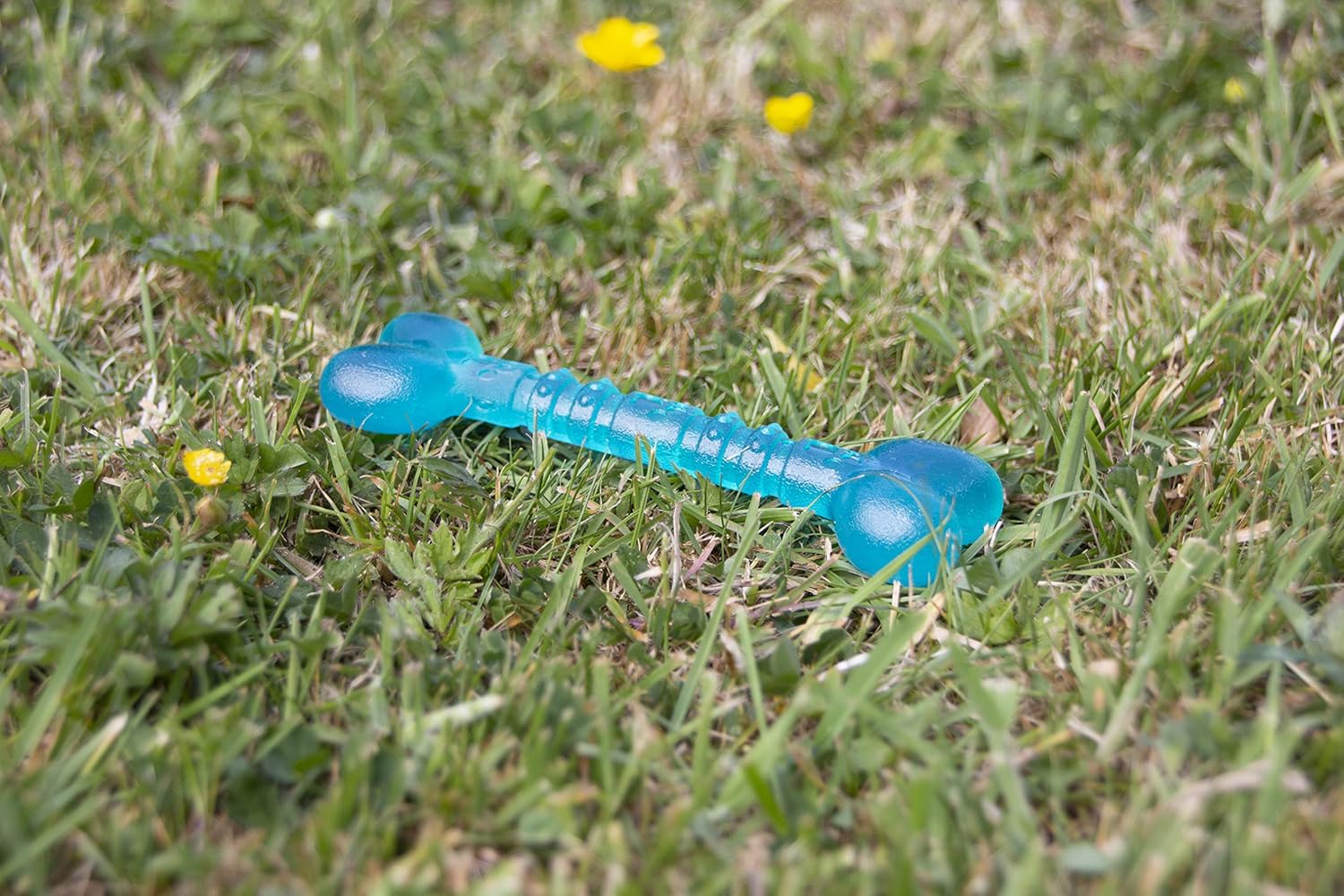 Rosewood Biosafe Blue Puppy Bone Toy - Wuffies