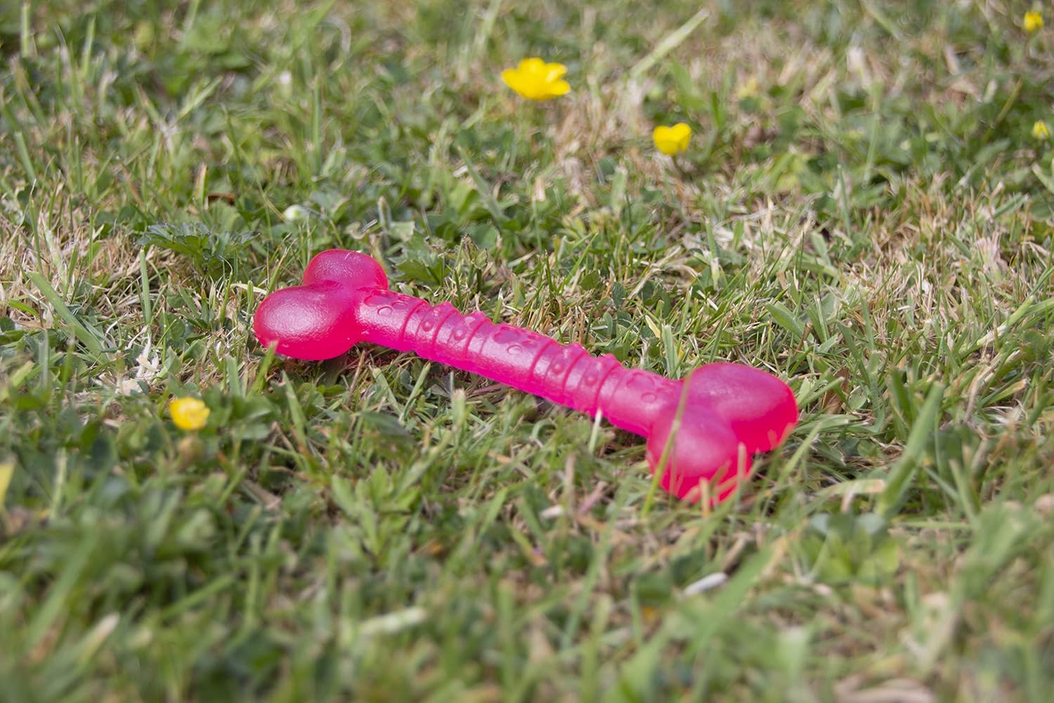 Rosewood Biosafe Pink Puppy Bone Toy - Wuffies