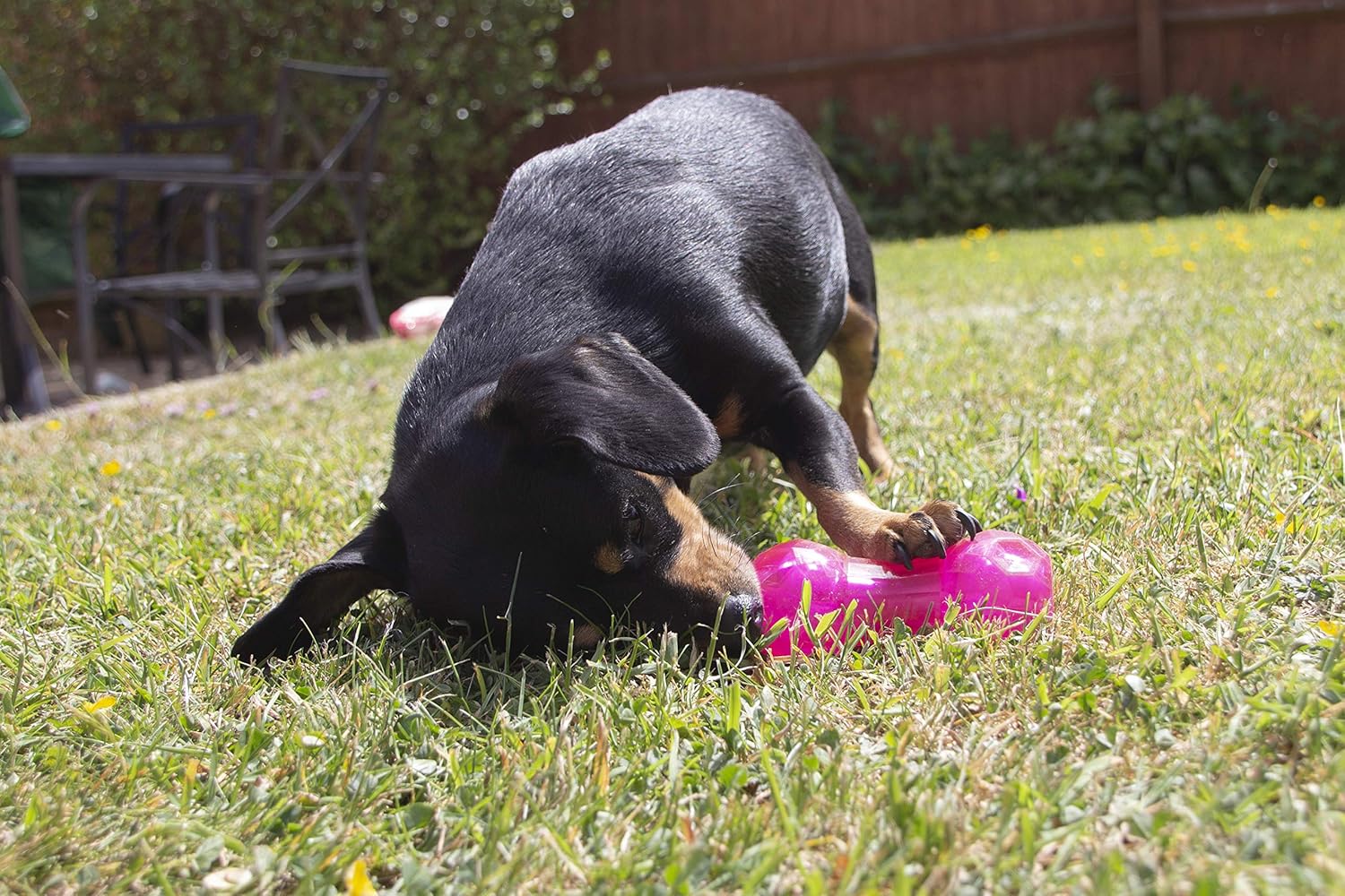 Rosewood Biosafe Pink Puppy Dumbbell Treat Dispensing Toy - Wuffies