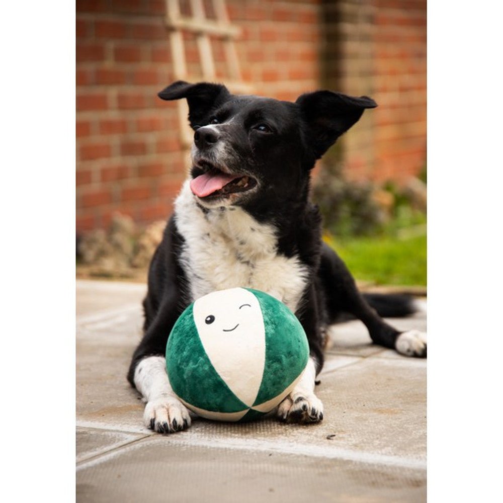 Rosewood Blitzen Bauble Christmas Dog Toy - Wuffies