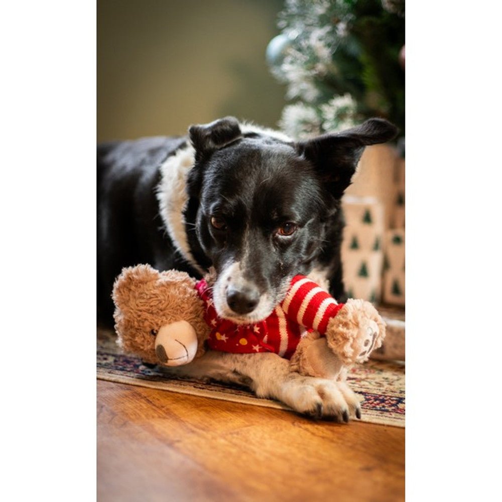 Rosewood Buddy Bear Christmas Dog Toy - Wuffies