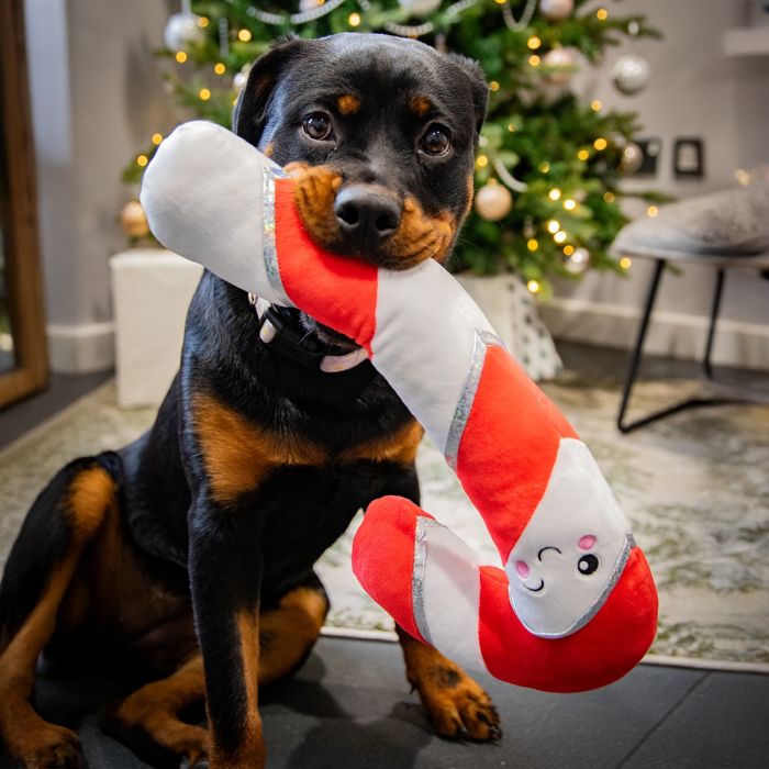 Rosewood Comet Candy Cane Christmas Dog Toy - Wuffies