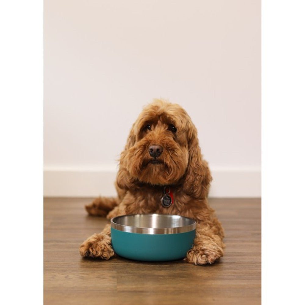 Rosewood Double Wall Stainless Steel Bowl Teal (Various Sizes) - Wuffies