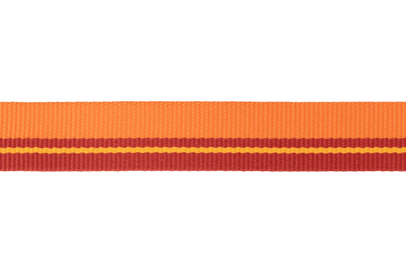 Ruffwear Flat Out™ Dog Collar (Autumn Horizon) - Wuffies