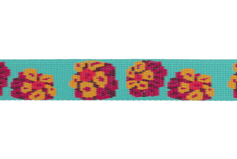Ruffwear Flat Out™ Dog Collar (Spring Burst) - Wuffies