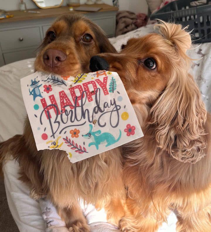 Scoff Paper Happy Birthday flowers - Edible Dog Card (Bacon flavour) - Wuffies