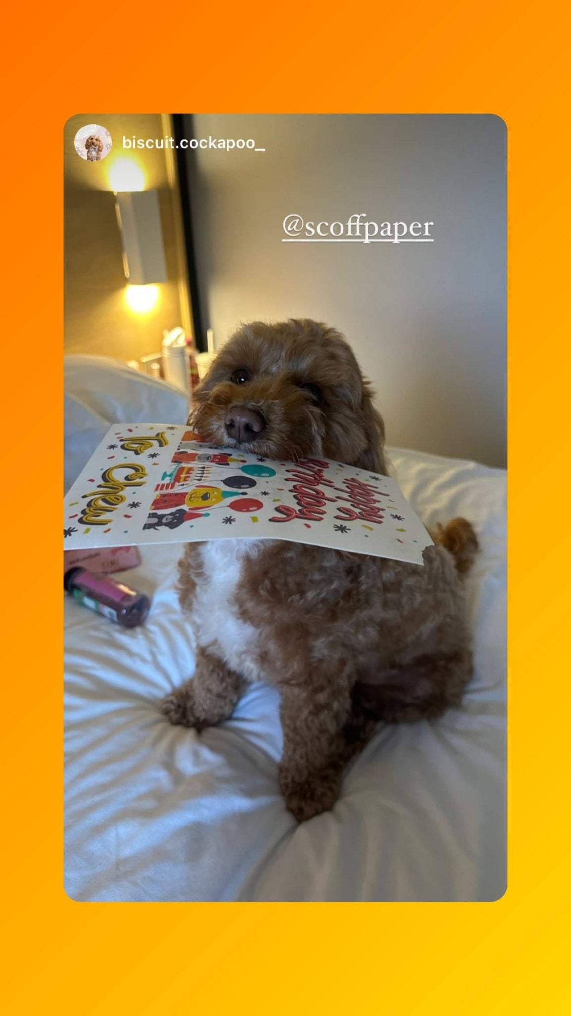 Scoff Paper Happy Birthday flowers - Edible Dog Card (Bacon flavour) - Wuffies