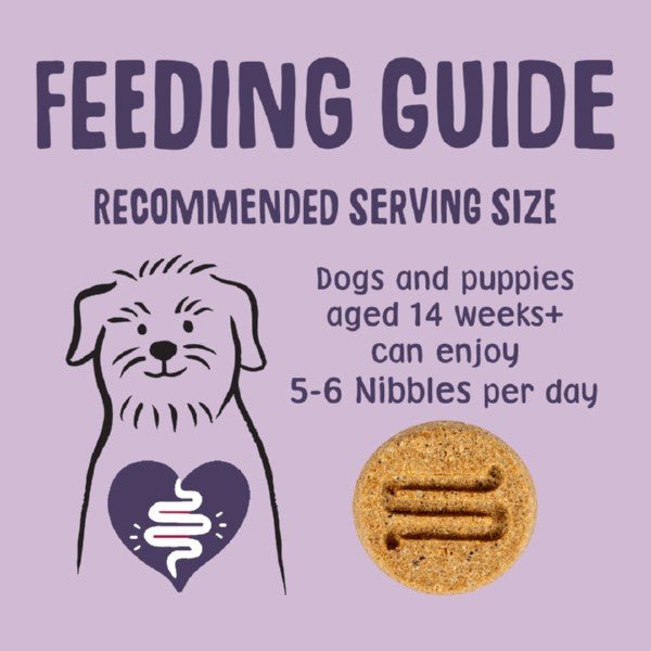 Scrumbles Dog Treats Nibbles Turkey Calming Treats (100g) - Wuffies