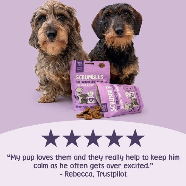 Scrumbles Dog Treats Nibbles Turkey Calming Treats (100g) - Wuffies