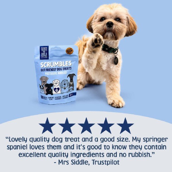 Scrumbles Dog Treats Postbiotic Nibbles (100g) - Wuffies