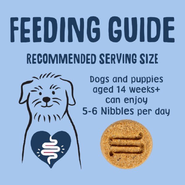 Scrumbles Dog Treats Postbiotic Nibbles (100g) - Wuffies