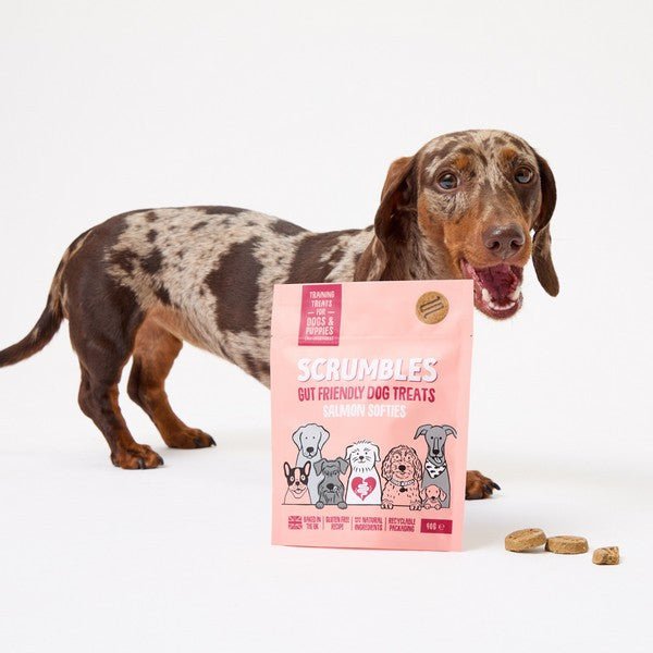Scrumbles Dog Treats Softies Salmon Training Treats (90g) - Wuffies