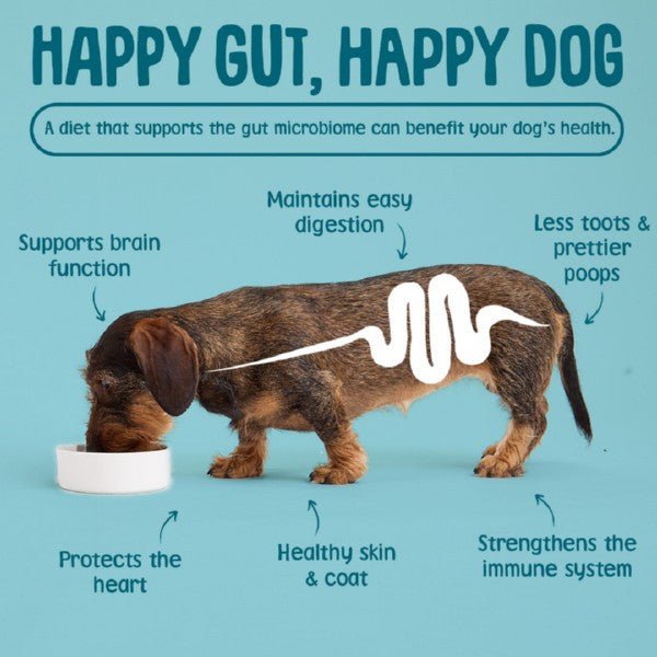 Scrumbles Gnashers for Dogs Daily Dental Bones 7Pk (Pouch) - Wuffies