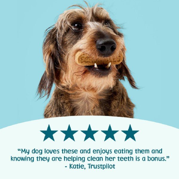 Scrumbles Gnashers for Dogs Daily Dental Bones 7Pk (Pouch) - Wuffies