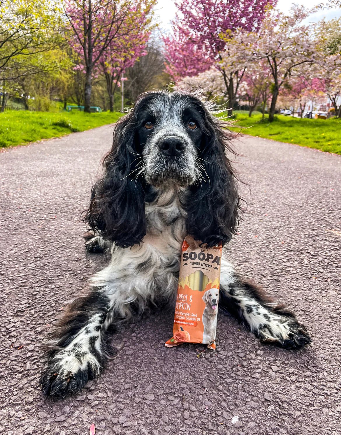 Soopa Carrot & Pumpkin Jumbo Sticks (2 Sticks) - Wuffies