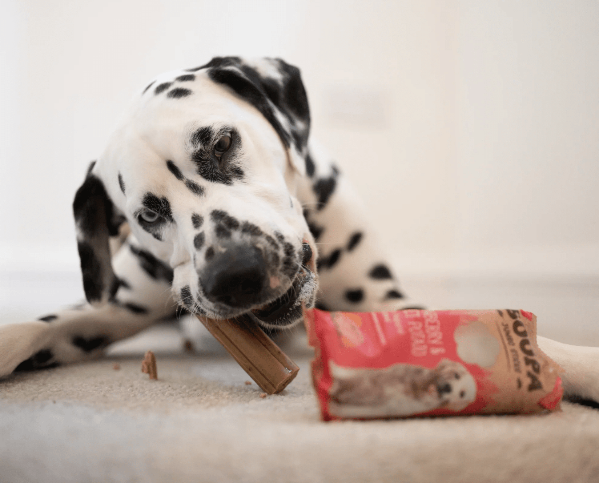 Soopa Cranberry & Sweet Potato Jumbo Sticks (2 Sticks) - Wuffies