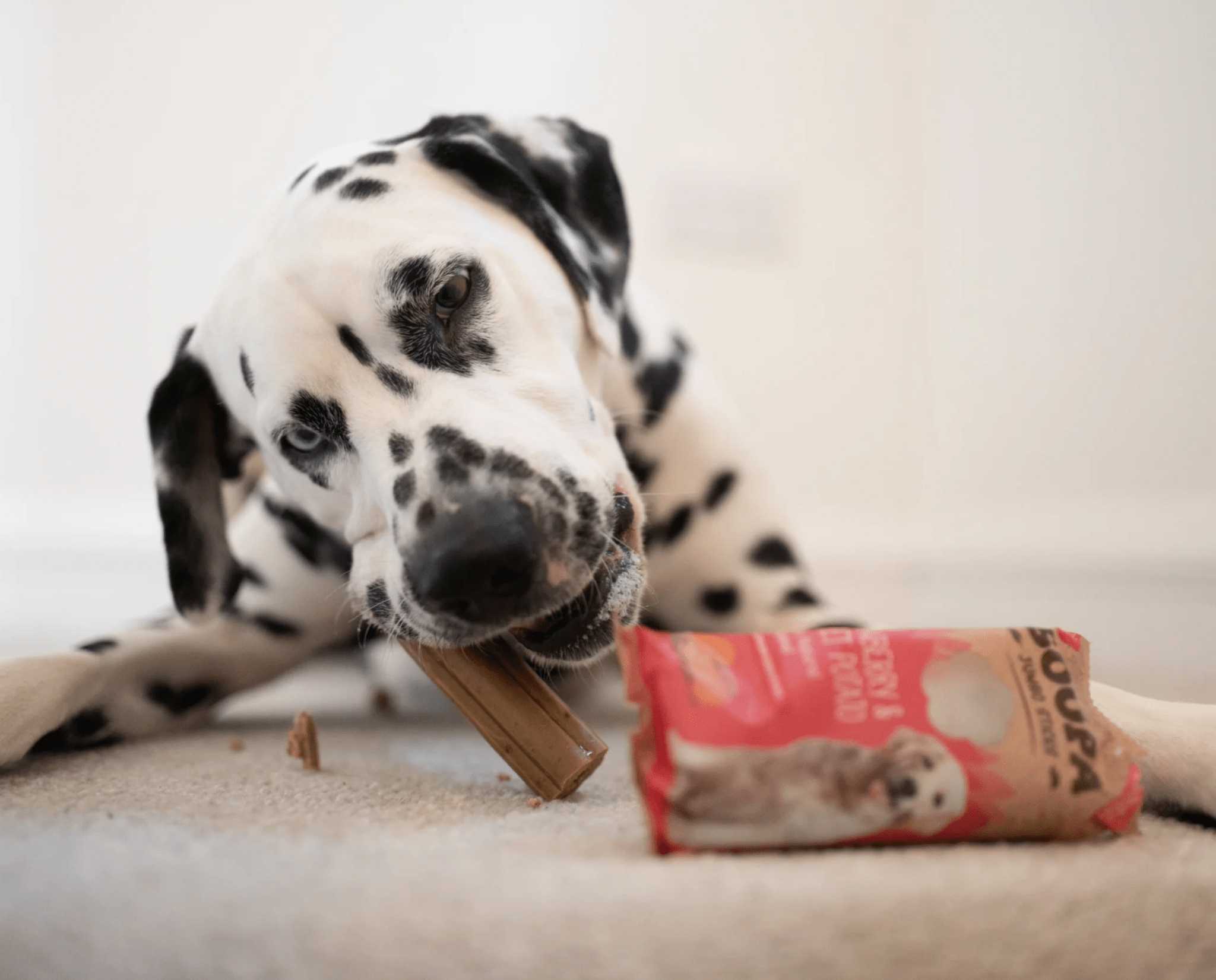 Soopa Cranberry & Sweet Potato Jumbo Sticks (2 Sticks) - Wuffies