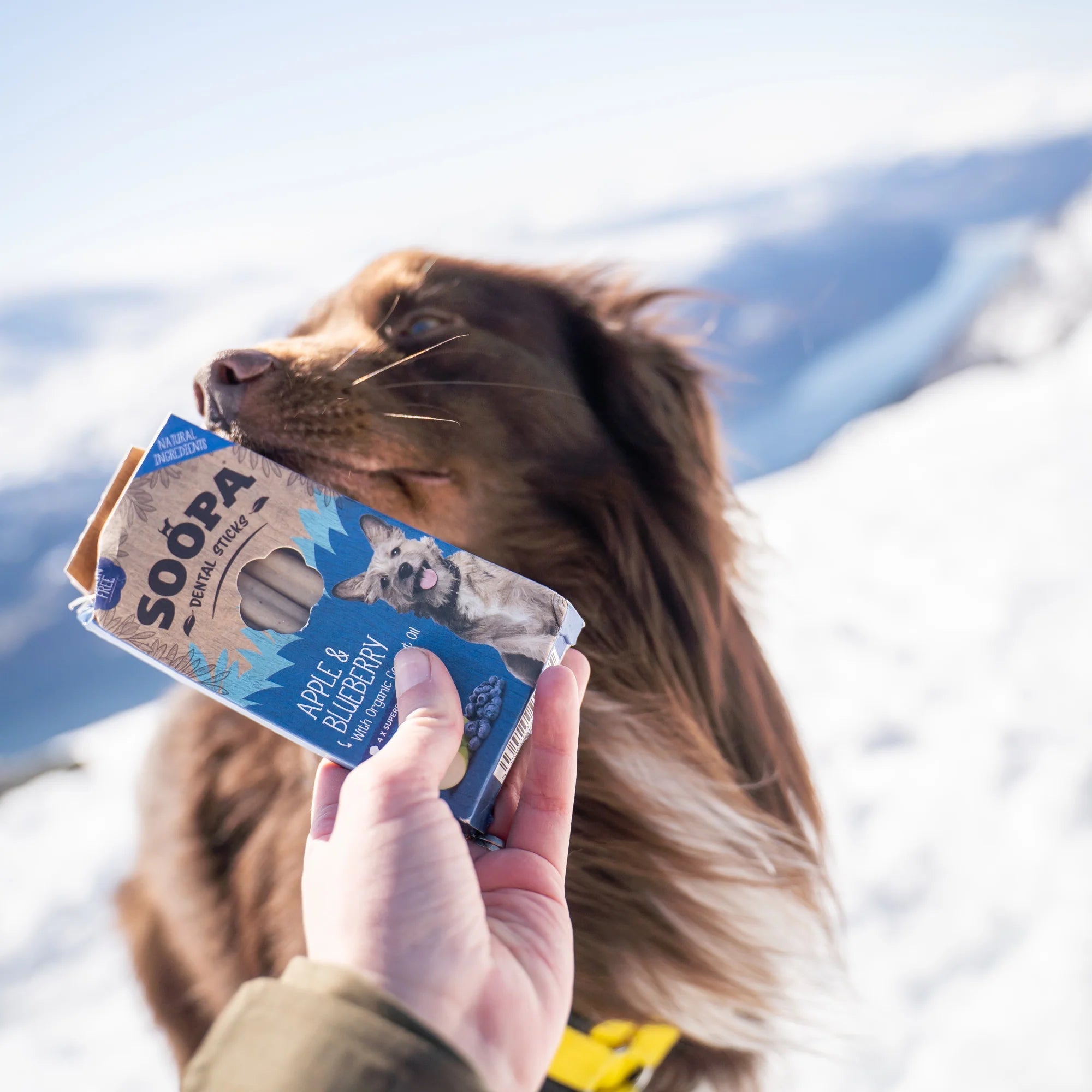 Soopa Dental Sticks Apple & Blueberry (4 Sticks) - Wuffies
