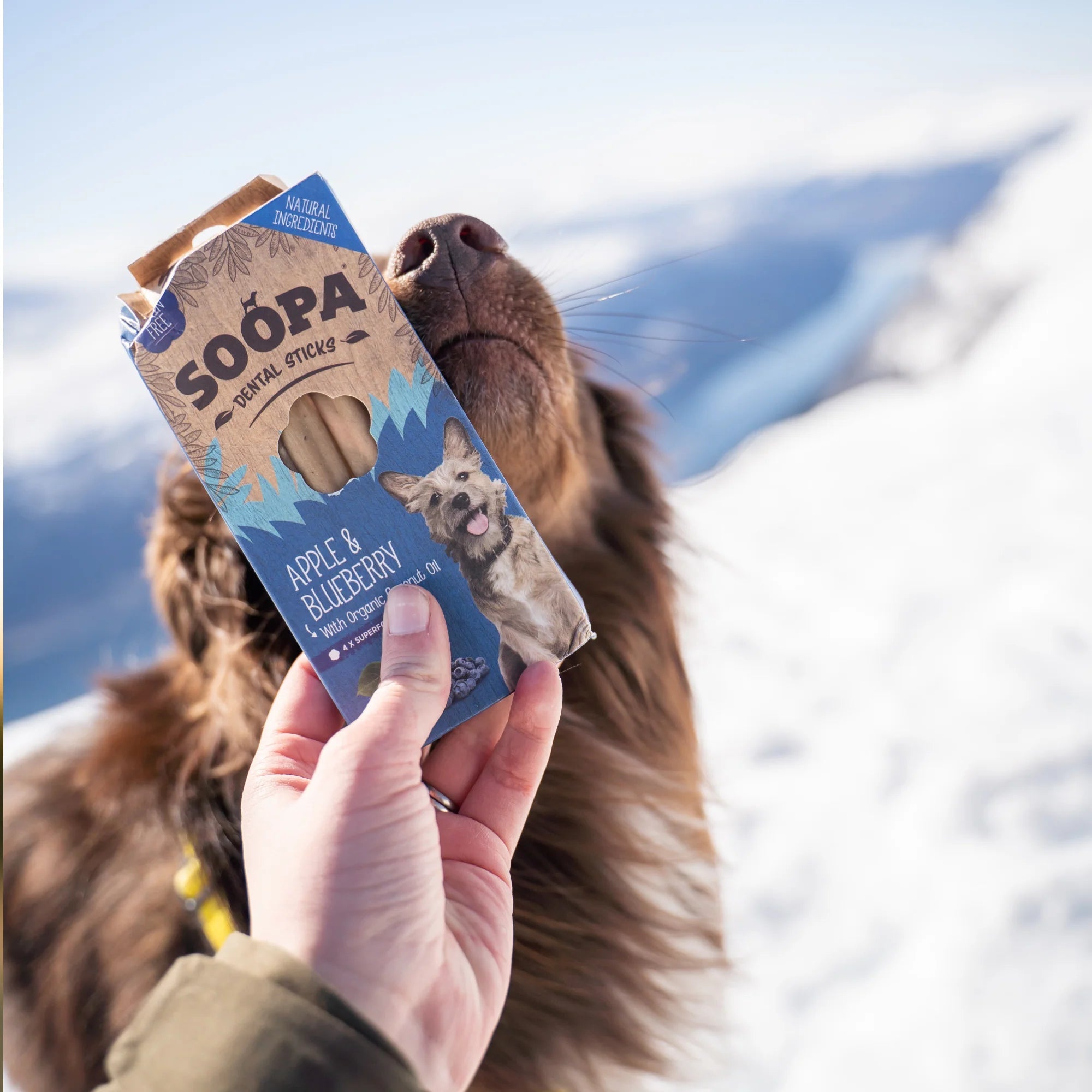Soopa Dental Sticks Apple & Blueberry (4 Sticks) - Wuffies