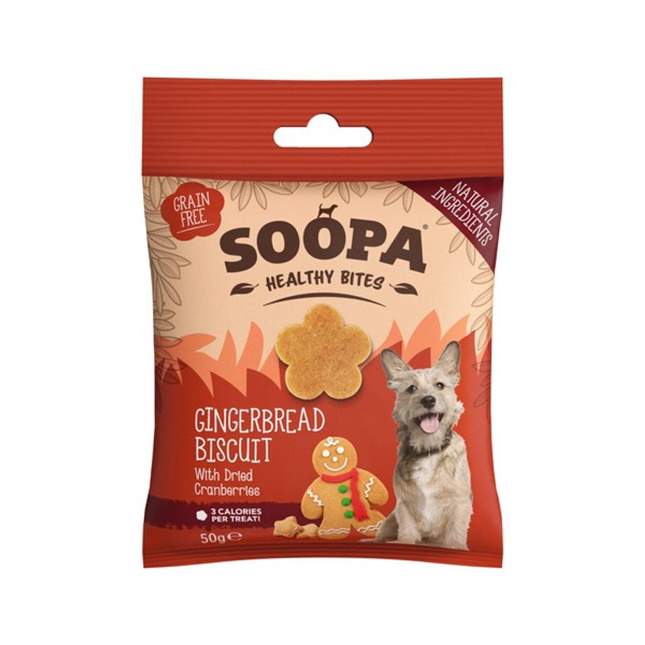 Soopa Gingerbread Latte Bites (50g) - Wuffies