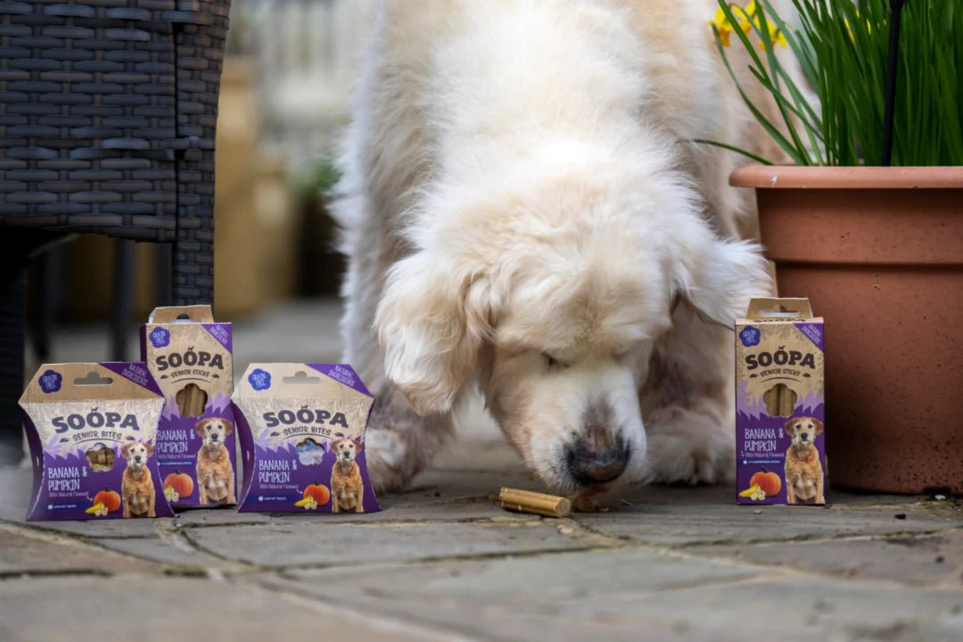 Soopa Senior Dental Sticks Banana, Pumpkin & Flaxseed (4 Sticks) - Wuffies