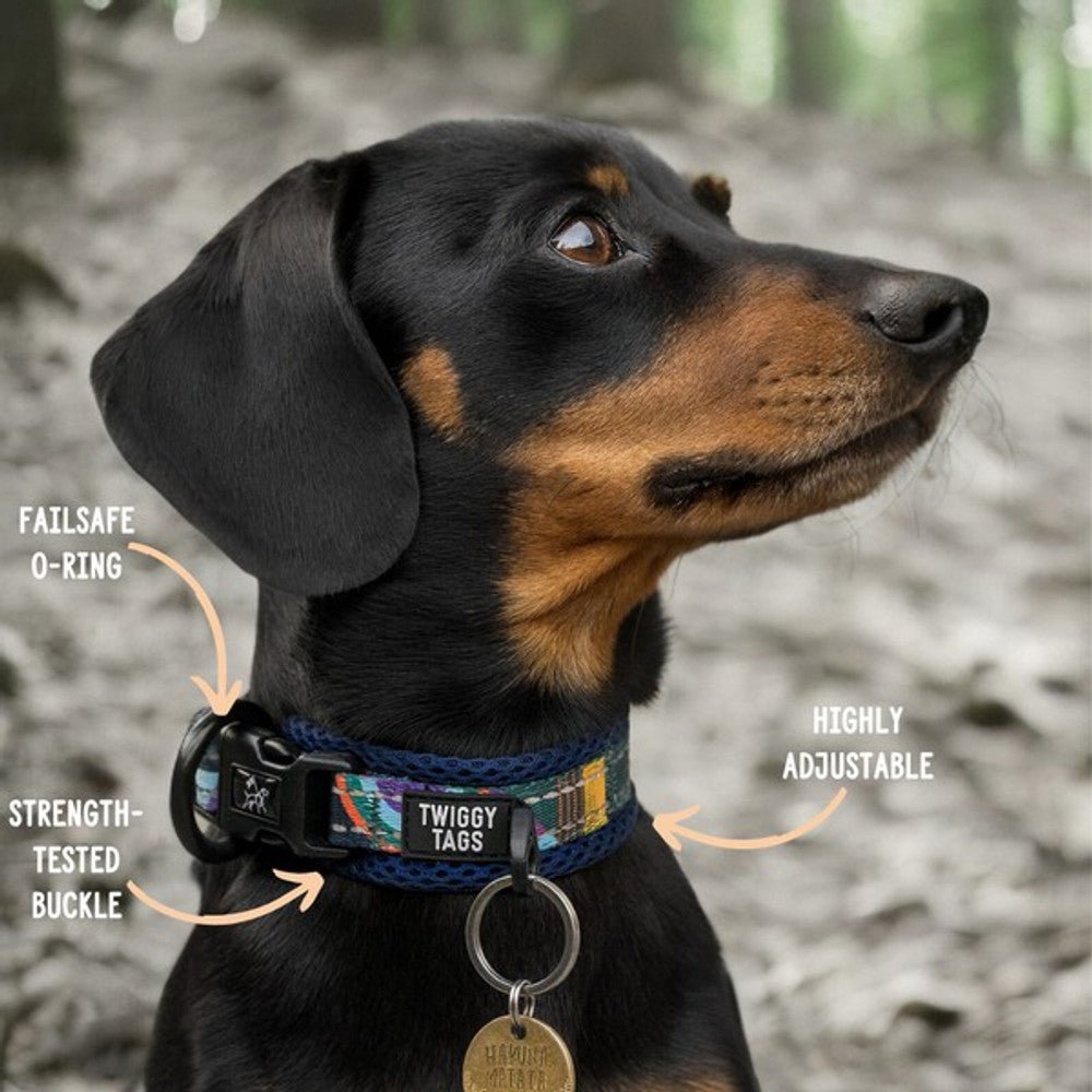 Twiggy Tags Adventure Collar (Aurora) - Wuffies