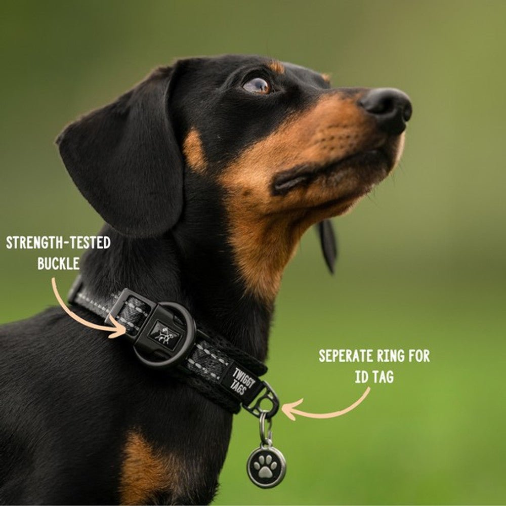 Twiggy Tags Adventure Collar (Petrichor) - Wuffies