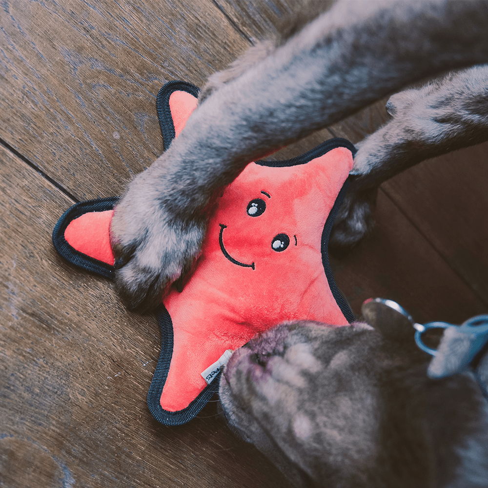 Beco Recycled Rough & Tough Starfish - Wuffies