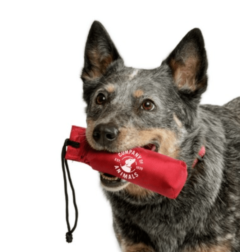 Clix Nylon Dog Training Dummy - Wuffies