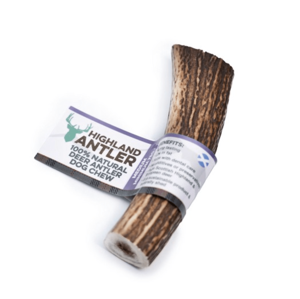 Highland Antler Natural Deer Chew (Various Sizes) - Wuffies