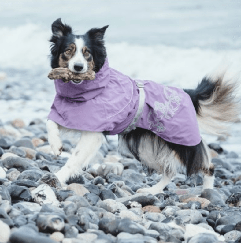 Hurtta Monsoon Dog Coat (Currant) - Wuffies