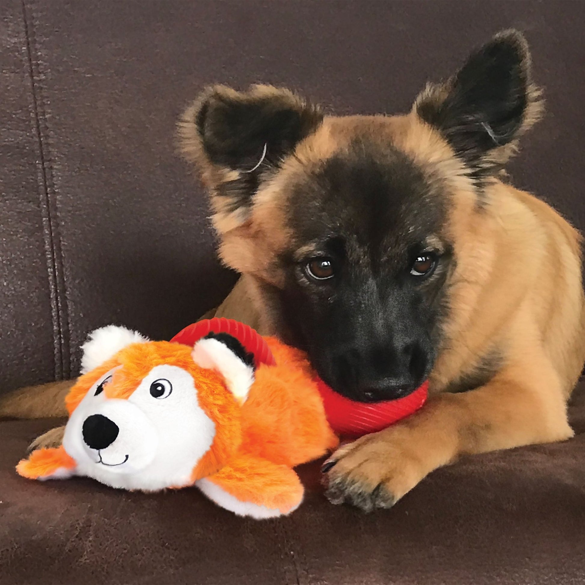 KONG Cozie Pocketz Fox (Medium) - Wuffies