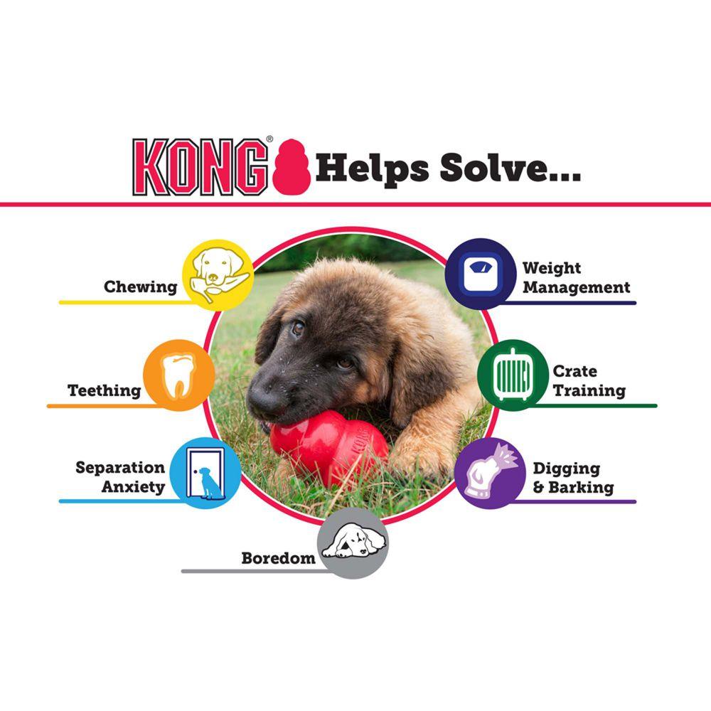 KONG Puppy Treat Toy (Assorted) - Wuffies