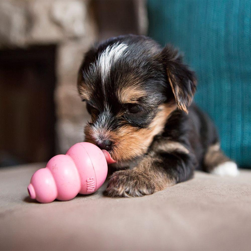 KONG Puppy Treat Toy (Assorted) - Wuffies