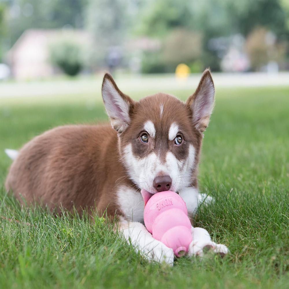 KONG Puppy Treat Toy (Assorted) - Wuffies