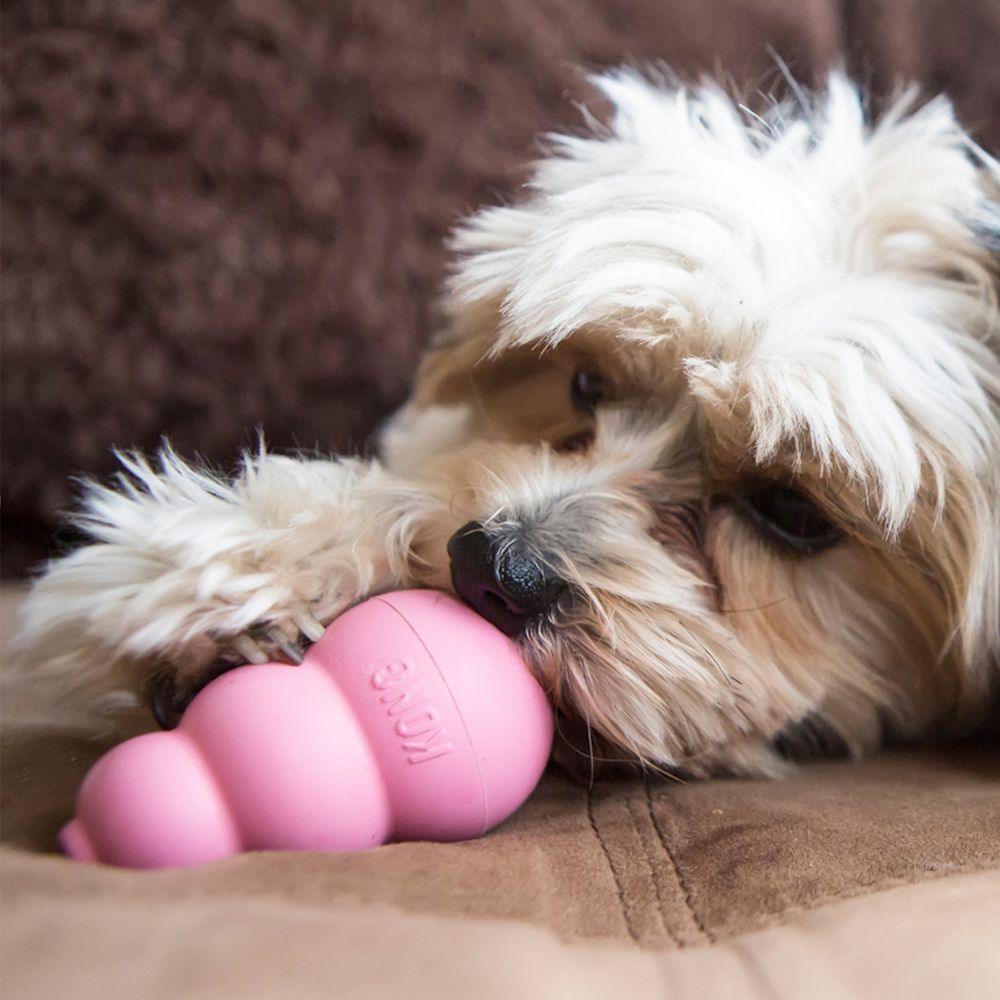 KONG Puppy Treat Toy (Assorted) - Wuffies