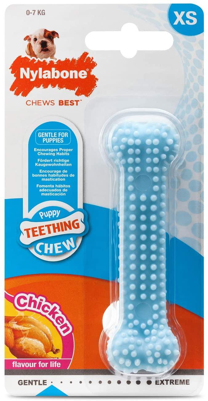 Nylabone Puppy Teething Dental Chicken Blue (X - Small) - Wuffies